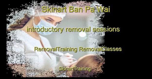 Skinart Ban Pa Wai introductory removal sessions | #RemovalTraining #RemovalClasses #SkinartTraining-Thailand