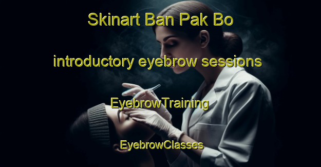 Skinart Ban Pak Bo introductory eyebrow sessions | EyebrowTraining | EyebrowClasses | SkinartTraining-Thailand