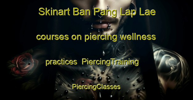 Skinart Ban Pang Lap Lae courses on piercing wellness practices | #PiercingTraining #PiercingClasses #SkinartTraining-Thailand