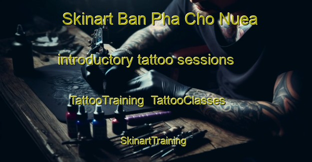 Skinart Ban Pha Cho Nuea introductory tattoo sessions | TattooTraining | TattooClasses | SkinartTraining-Thailand