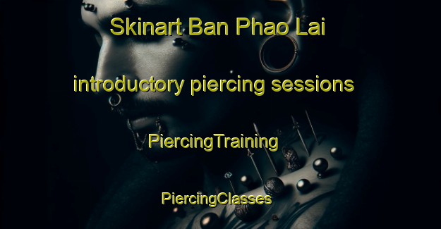 Skinart Ban Phao Lai introductory piercing sessions | PiercingTraining | PiercingClasses | SkinartTraining-Thailand