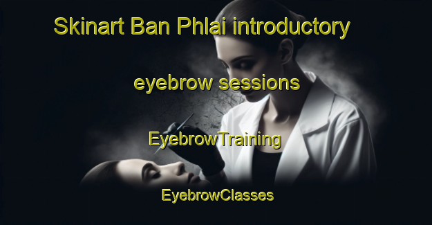 Skinart Ban Phlai introductory eyebrow sessions | EyebrowTraining | EyebrowClasses | SkinartTraining-Thailand
