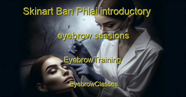 Skinart Ban Phlai introductory eyebrow sessions | EyebrowTraining | EyebrowClasses | SkinartTraining-Thailand