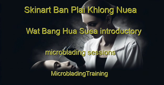 Skinart Ban Plai Khlong Nuea Wat Bang Hua Suea introductory microblading sessions | MicrobladingTraining | MicrobladingClasses | SkinartTraining-Thailand
