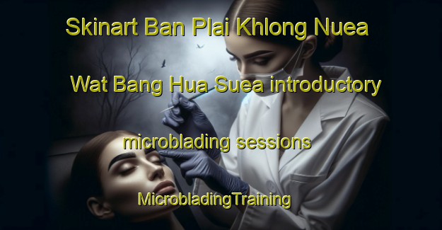 Skinart Ban Plai Khlong Nuea Wat Bang Hua Suea introductory microblading sessions | MicrobladingTraining | MicrobladingClasses | SkinartTraining-Thailand