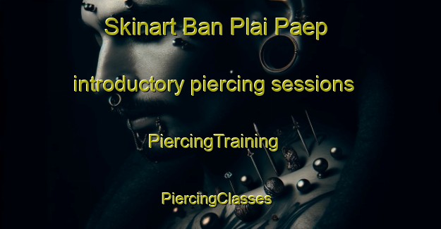 Skinart Ban Plai Paep introductory piercing sessions | PiercingTraining | PiercingClasses | SkinartTraining-Thailand