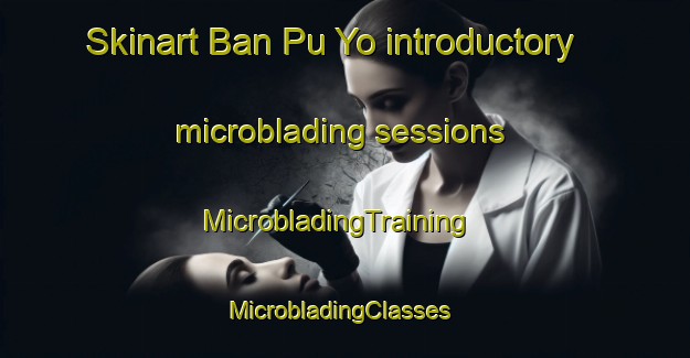 Skinart Ban Pu Yo introductory microblading sessions | MicrobladingTraining | MicrobladingClasses | SkinartTraining-Thailand
