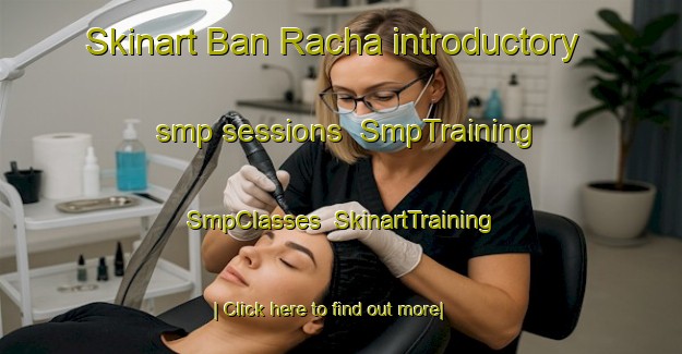 Skinart Ban Racha introductory smp sessions | SmpTraining | SmpClasses | SkinartTraining-Thailand