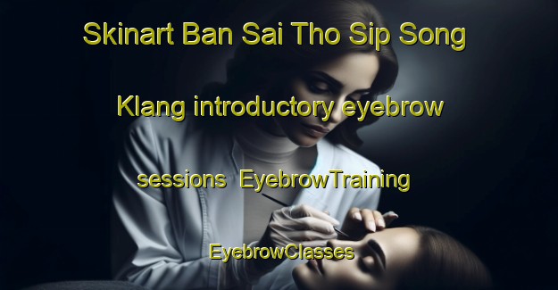 Skinart Ban Sai Tho Sip Song Klang introductory eyebrow sessions | EyebrowTraining | EyebrowClasses | SkinartTraining-Thailand