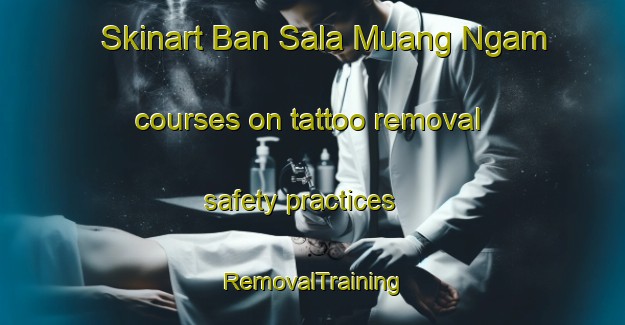 Skinart Ban Sala Muang Ngam courses on tattoo removal safety practices | RemovalTraining | RemovalClasses | SkinartTraining-Thailand