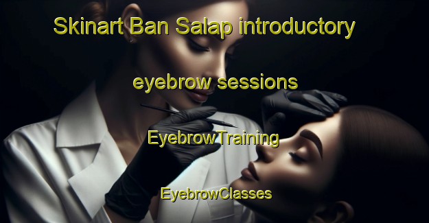 Skinart Ban Salap introductory eyebrow sessions | EyebrowTraining | EyebrowClasses | SkinartTraining-Thailand