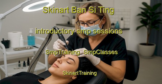 Skinart Ban Si Ting introductory smp sessions | SmpTraining | SmpClasses | SkinartTraining-Thailand