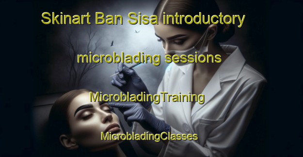 Skinart Ban Sisa introductory microblading sessions | MicrobladingTraining | MicrobladingClasses | SkinartTraining-Thailand