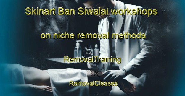 Skinart Ban Siwalai workshops on niche removal methods | RemovalTraining | RemovalClasses | SkinartTraining-Thailand