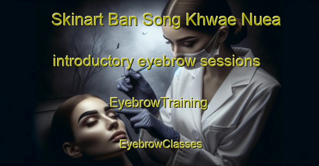 Skinart Ban Song Khwae Nuea introductory eyebrow sessions | EyebrowTraining | EyebrowClasses | SkinartTraining-Thailand