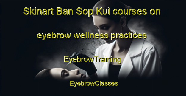 Skinart Ban Sop Kui courses on eyebrow wellness practices | EyebrowTraining | EyebrowClasses | SkinartTraining-Thailand