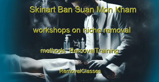 Skinart Ban Suan Mon Kham workshops on niche removal methods | RemovalTraining | RemovalClasses | SkinartTraining-Thailand