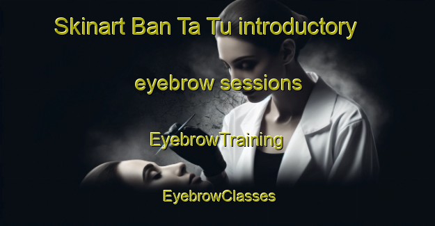 Skinart Ban Ta Tu introductory eyebrow sessions | EyebrowTraining | EyebrowClasses | SkinartTraining-Thailand