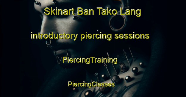 Skinart Ban Tako Lang introductory piercing sessions | PiercingTraining | PiercingClasses | SkinartTraining-Thailand