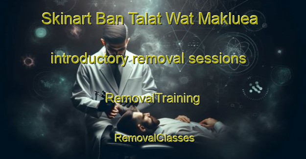 Skinart Ban Talat Wat Makluea introductory removal sessions | RemovalTraining | RemovalClasses | SkinartTraining-Thailand