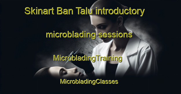 Skinart Ban Talu introductory microblading sessions | MicrobladingTraining | MicrobladingClasses | SkinartTraining-Thailand