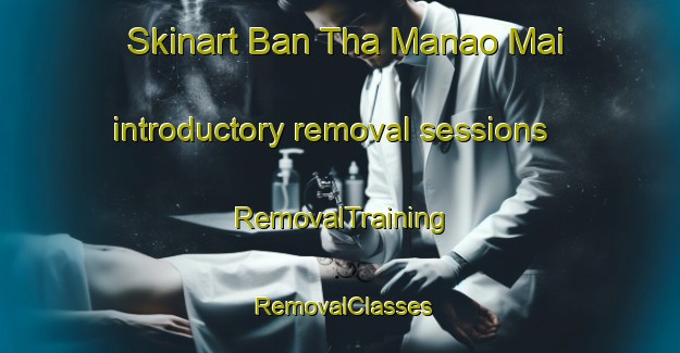 Skinart Ban Tha Manao Mai introductory removal sessions | RemovalTraining | RemovalClasses | SkinartTraining-Thailand