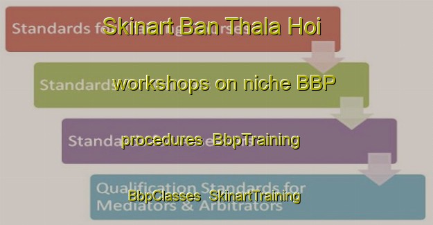 Skinart Ban Thala Hoi workshops on niche BBP procedures | BbpTraining | BbpClasses | SkinartTraining-Thailand