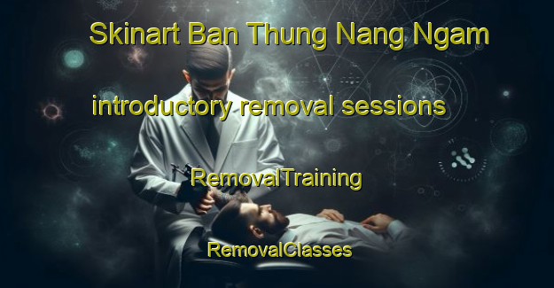 Skinart Ban Thung Nang Ngam introductory removal sessions | RemovalTraining | RemovalClasses | SkinartTraining-Thailand