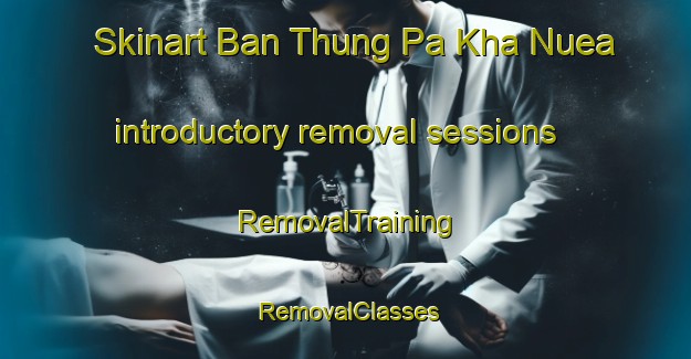 Skinart Ban Thung Pa Kha Nuea introductory removal sessions | RemovalTraining | RemovalClasses | SkinartTraining-Thailand