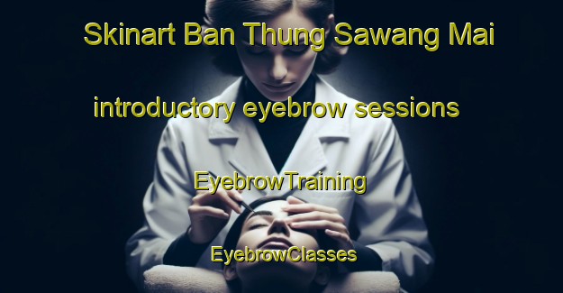 Skinart Ban Thung Sawang Mai introductory eyebrow sessions | EyebrowTraining | EyebrowClasses | SkinartTraining-Thailand