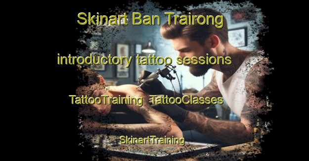Skinart Ban Trairong introductory tattoo sessions | TattooTraining | TattooClasses | SkinartTraining-Thailand