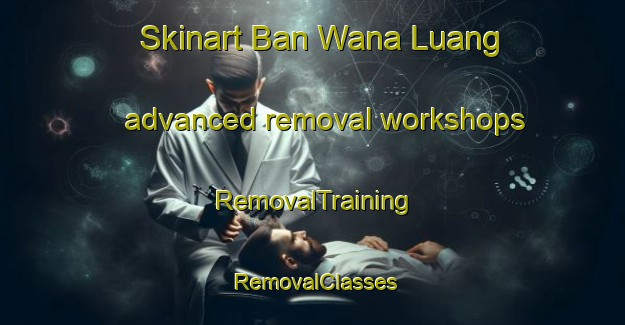 Skinart Ban Wana Luang advanced removal workshops | RemovalTraining | RemovalClasses | SkinartTraining-Thailand