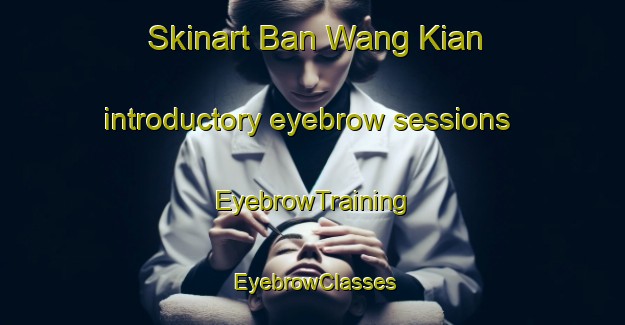 Skinart Ban Wang Kian introductory eyebrow sessions | EyebrowTraining | EyebrowClasses | SkinartTraining-Thailand