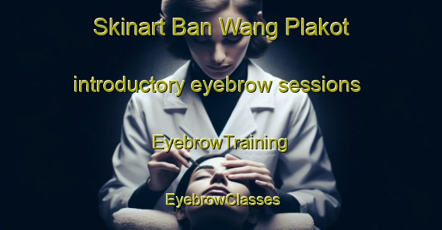 Skinart Ban Wang Plakot introductory eyebrow sessions | EyebrowTraining | EyebrowClasses | SkinartTraining-Thailand