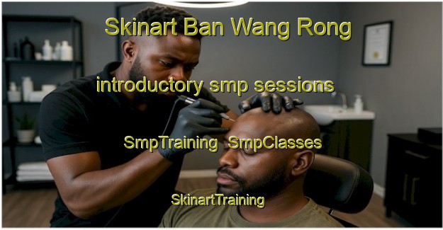 Skinart Ban Wang Rong introductory smp sessions | SmpTraining | SmpClasses | SkinartTraining-Thailand