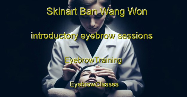 Skinart Ban Wang Won introductory eyebrow sessions | EyebrowTraining | EyebrowClasses | SkinartTraining-Thailand