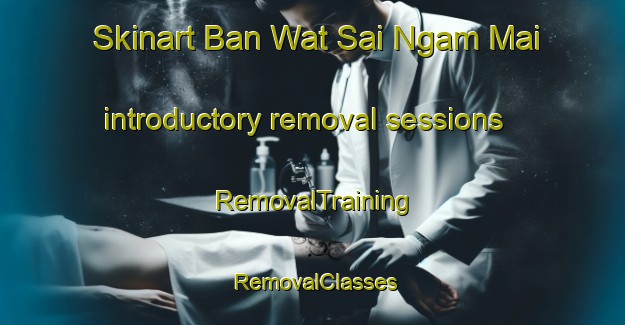 Skinart Ban Wat Sai Ngam Mai introductory removal sessions | RemovalTraining | RemovalClasses | SkinartTraining-Thailand