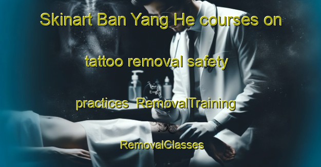 Skinart Ban Yang He courses on tattoo removal safety practices | RemovalTraining | RemovalClasses | SkinartTraining-Thailand