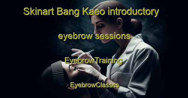Skinart Bang Kaeo introductory eyebrow sessions | EyebrowTraining | EyebrowClasses | SkinartTraining-Thailand