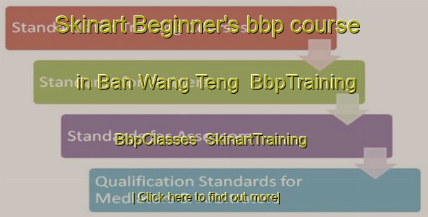 Skinart Beginner's bbp course in Ban Wang Teng | BbpTraining | BbpClasses | SkinartTraining-Thailand