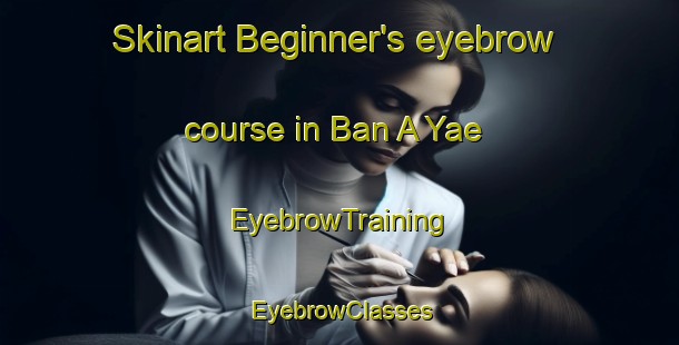 Skinart Beginner's eyebrow course in Ban A Yae | EyebrowTraining | EyebrowClasses | SkinartTraining-Thailand