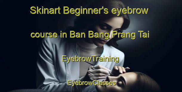 Skinart Beginner's eyebrow course in Ban Bang Prang Tai | EyebrowTraining | EyebrowClasses | SkinartTraining-Thailand