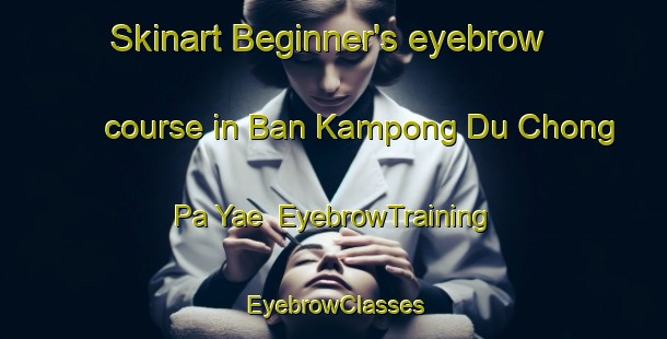 Skinart Beginner's eyebrow course in Ban Kampong Du Chong Pa Yae | EyebrowTraining | EyebrowClasses | SkinartTraining-Thailand