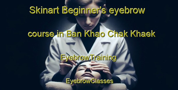 Skinart Beginner's eyebrow course in Ban Khao Chak Khaek | EyebrowTraining | EyebrowClasses | SkinartTraining-Thailand
