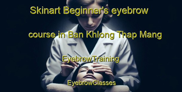 Skinart Beginner's eyebrow course in Ban Khlong Thap Mang | EyebrowTraining | EyebrowClasses | SkinartTraining-Thailand