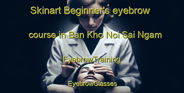 Skinart Beginner's eyebrow course in Ban Kho Noi Sai Ngam | EyebrowTraining | EyebrowClasses | SkinartTraining-Thailand
