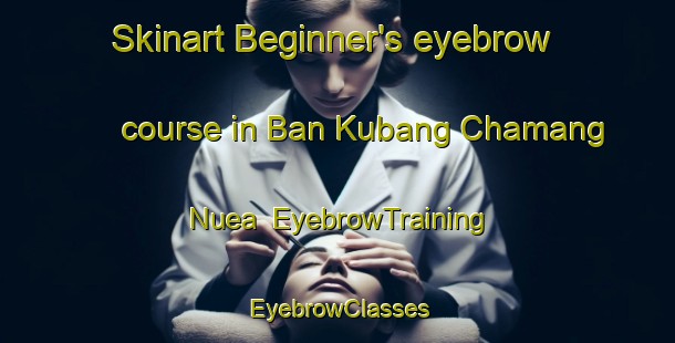 Skinart Beginner's eyebrow course in Ban Kubang Chamang Nuea | EyebrowTraining | EyebrowClasses | SkinartTraining-Thailand