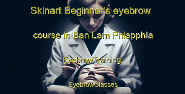 Skinart Beginner's eyebrow course in Ban Lam Phlapphla | EyebrowTraining | EyebrowClasses | SkinartTraining-Thailand