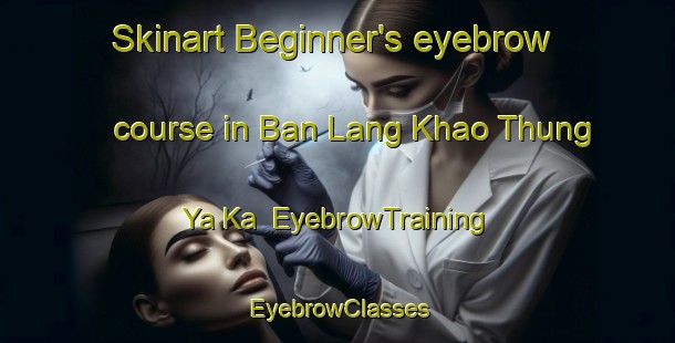 Skinart Beginner's eyebrow course in Ban Lang Khao Thung Ya Ka | EyebrowTraining | EyebrowClasses | SkinartTraining-Thailand