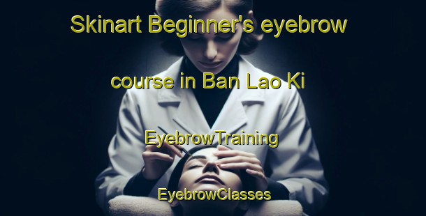 Skinart Beginner's eyebrow course in Ban Lao Ki | EyebrowTraining | EyebrowClasses | SkinartTraining-Thailand